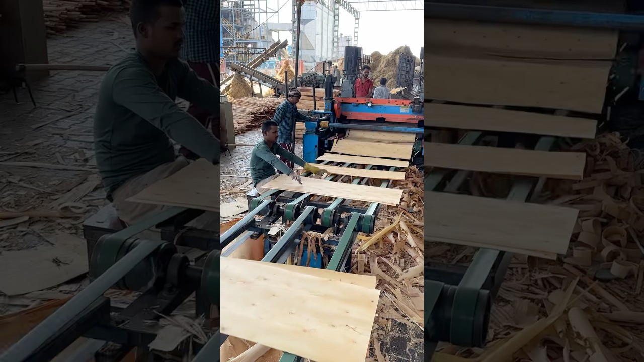 This is How Plywood is Made in India | Full Process Explained 😱 #shorts #doors