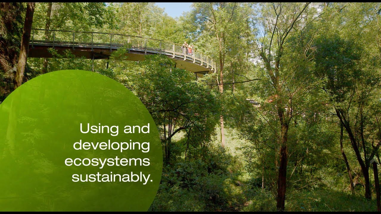 Creating a future worth living in – Civil and Environmental Engineering
