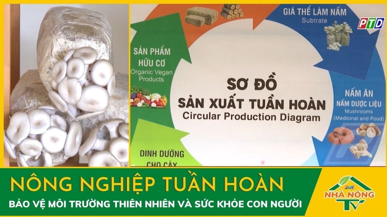 Nông nghiệp tuần hoàn: Bảo vệ môi trường thiên nhiên và sức khỏe con người