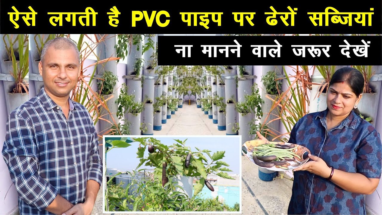 ऐसे लगती हैं PVC Pipe पर ढेरों सब्जियां, ना मानने वाले जरूर देखें || Unique Farming
