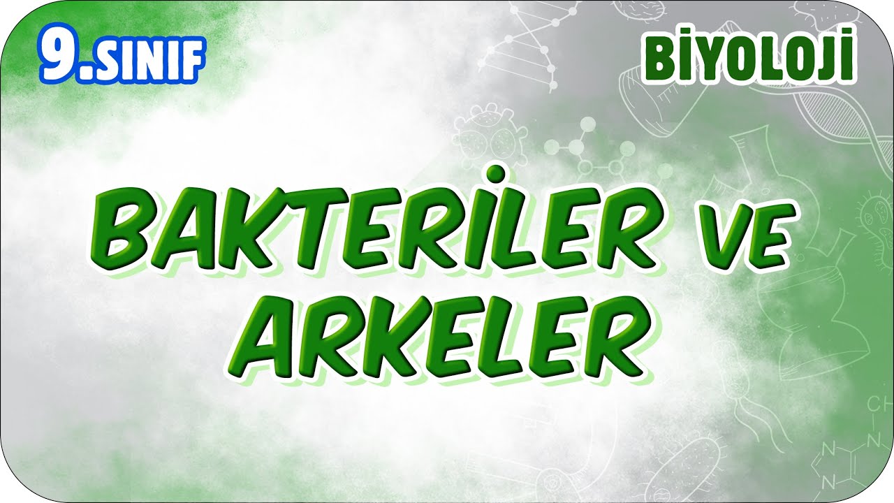 Bakteriler ve Arkeler  | 9.Sınıf Biyoloji #2026