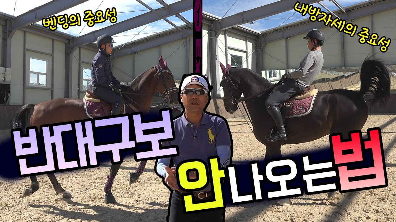 반대 구보 안나오는 법 [엑셀로 승마 꿀팁 제15화]