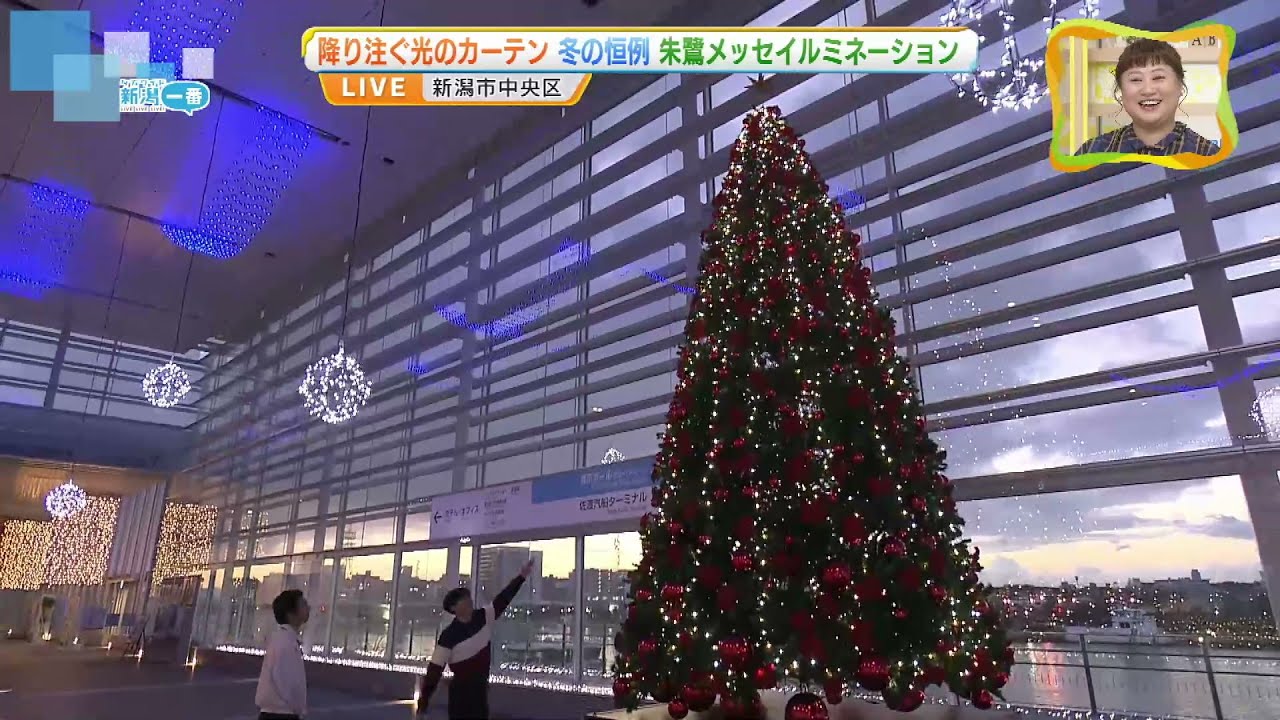【もうすぐクリスマス】新潟市の朱鷺メッセでイルミネーション点灯　約２万球のライトが幻想的な空間に