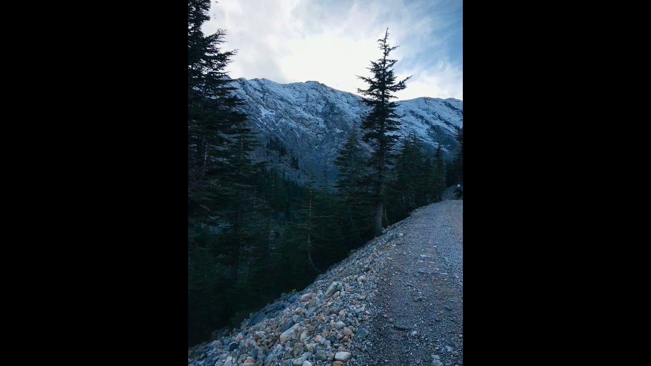 Pınar Muslu  - yorgun yol 