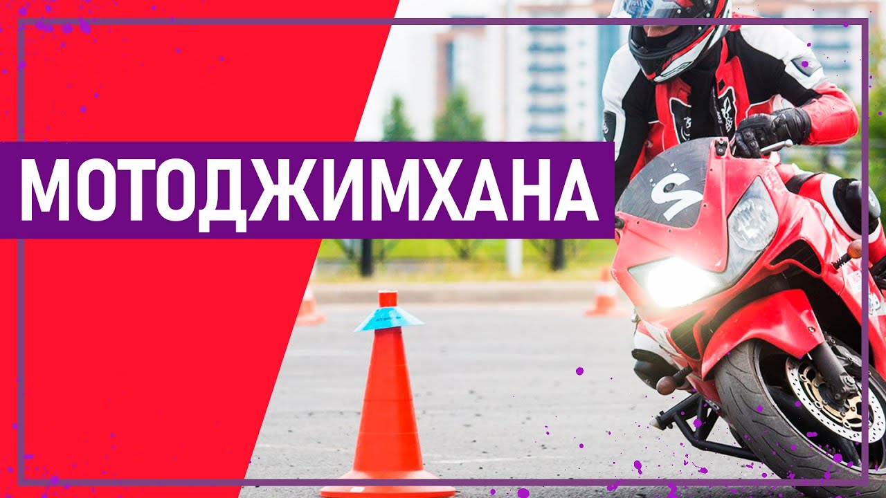 Вот это спорт! МОТОДЖИМХАНА