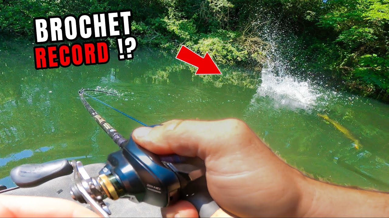 Un POISSON RECORD explose son LEURRE en SURFACE !!! - (Pêche au leurre en Float Tube)