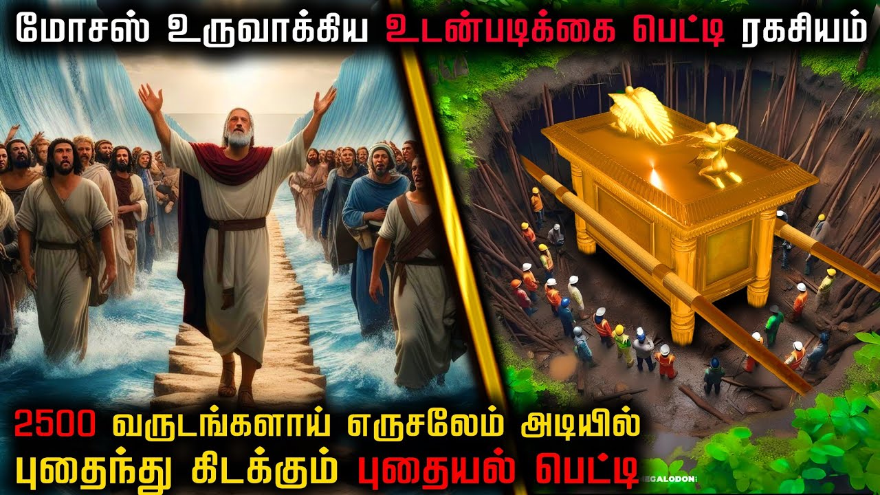 கடவுளால் பாதுகாக்கப்படும் மர்ம புதையல் | எருசலேம் அடியில் டன் கணக்கான தங்கமா.😱 | The Arc Of Covenant