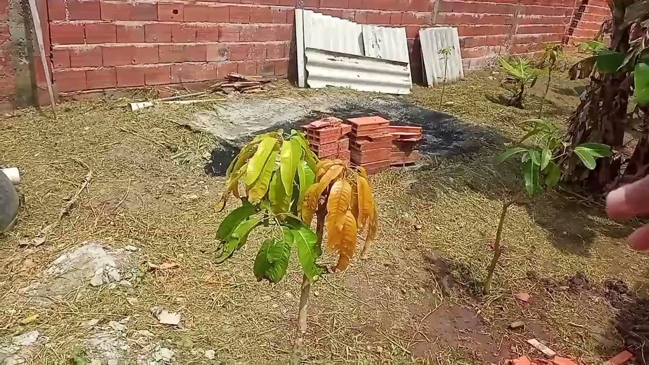 Ilha comprida o meu paraiso