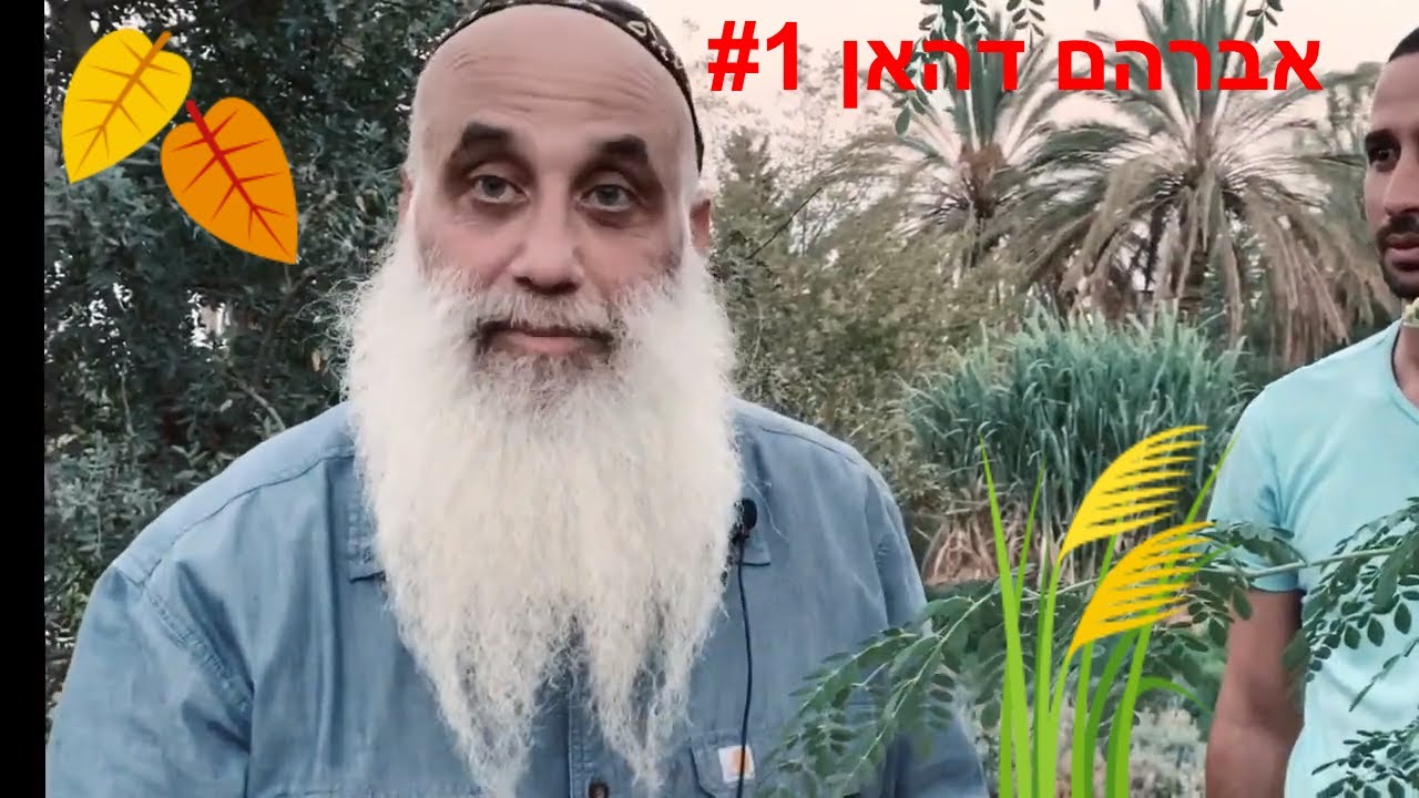 #1 אברהם דהאן רפואת הצמחים
