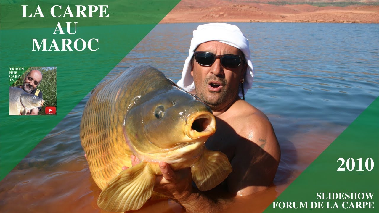 La carpe au Maroc - Bin El Ouidane - Slideshow part 2