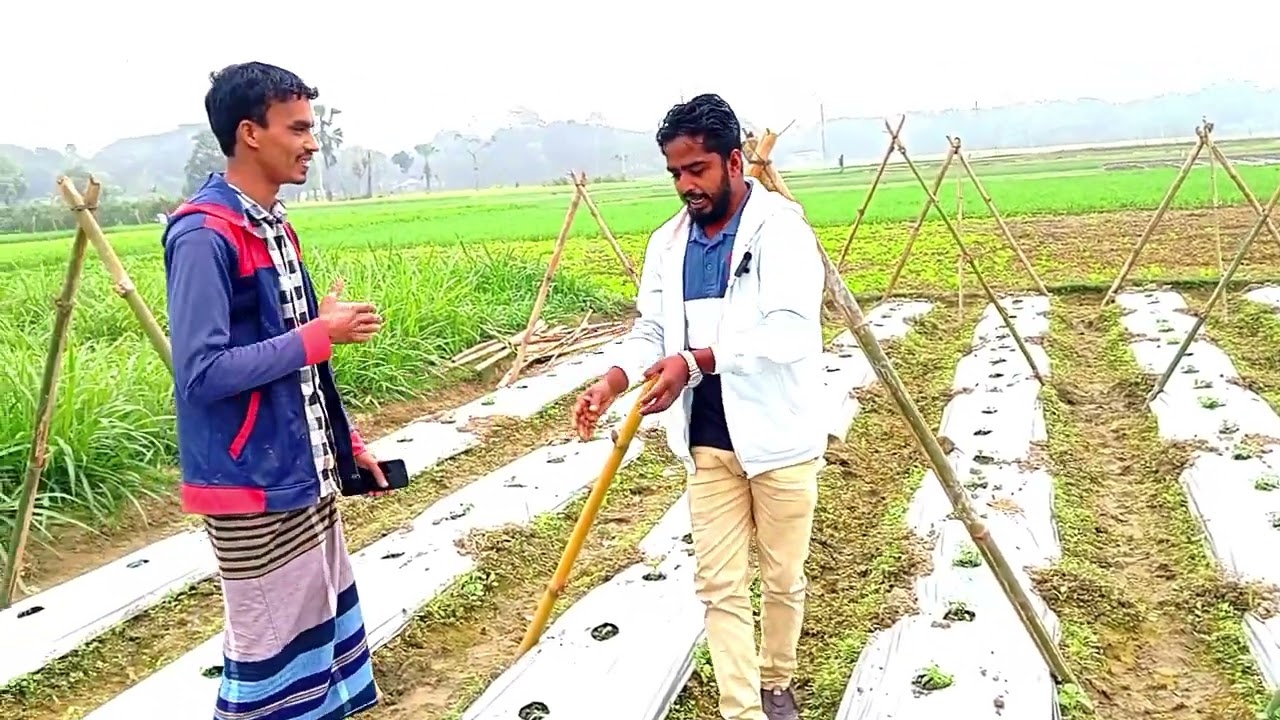 স্মার্ট চাষাবাদ নিয়ে ভিডিও পেতে আবিদা এগ্রো  নার্সারি youtube চ্যানেলটি সাবস্ক্রাইব করে রাখুন