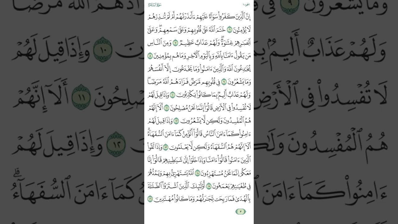 سورة البقرة صفحة رقم ٢ و٣
