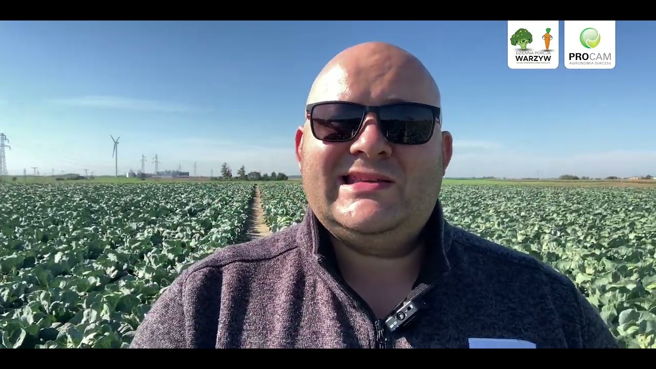 Procam Alert: Wizyta na plantacji kapusty &ndash; Paweko.