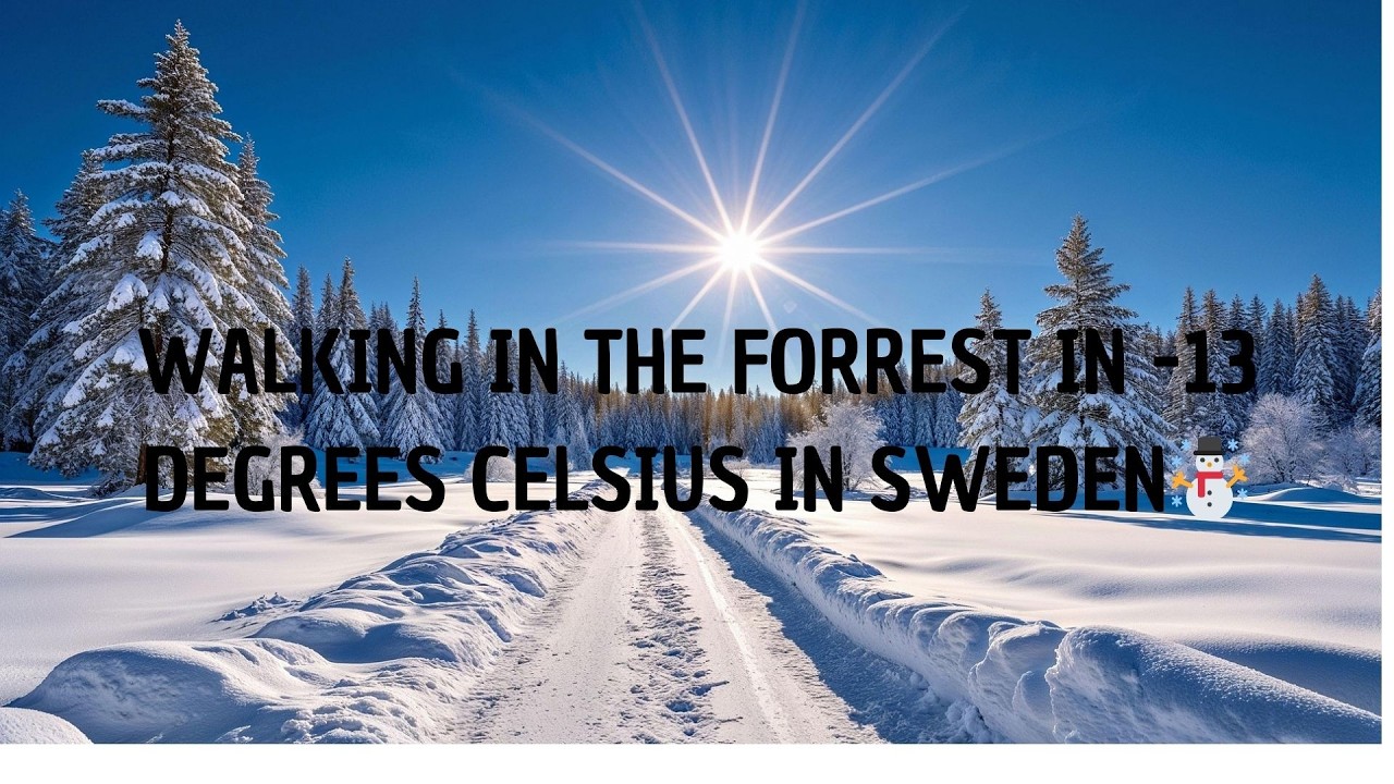 What Winter In Sweden 🇸🇪  Looks Like ❄️ ☃️☀️ -13 degrees celsius 