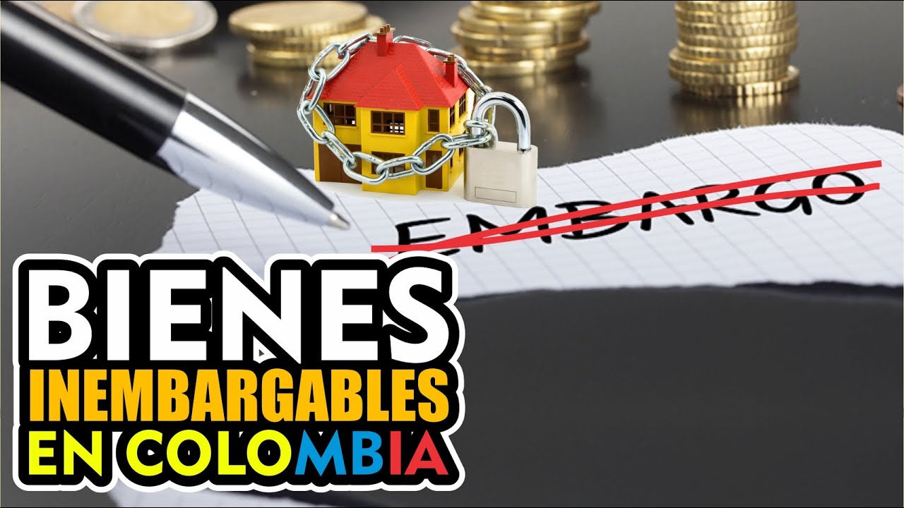 BIENES INEMBARGABLES [ PATRIMONIO Y AFECTACIÓN ]