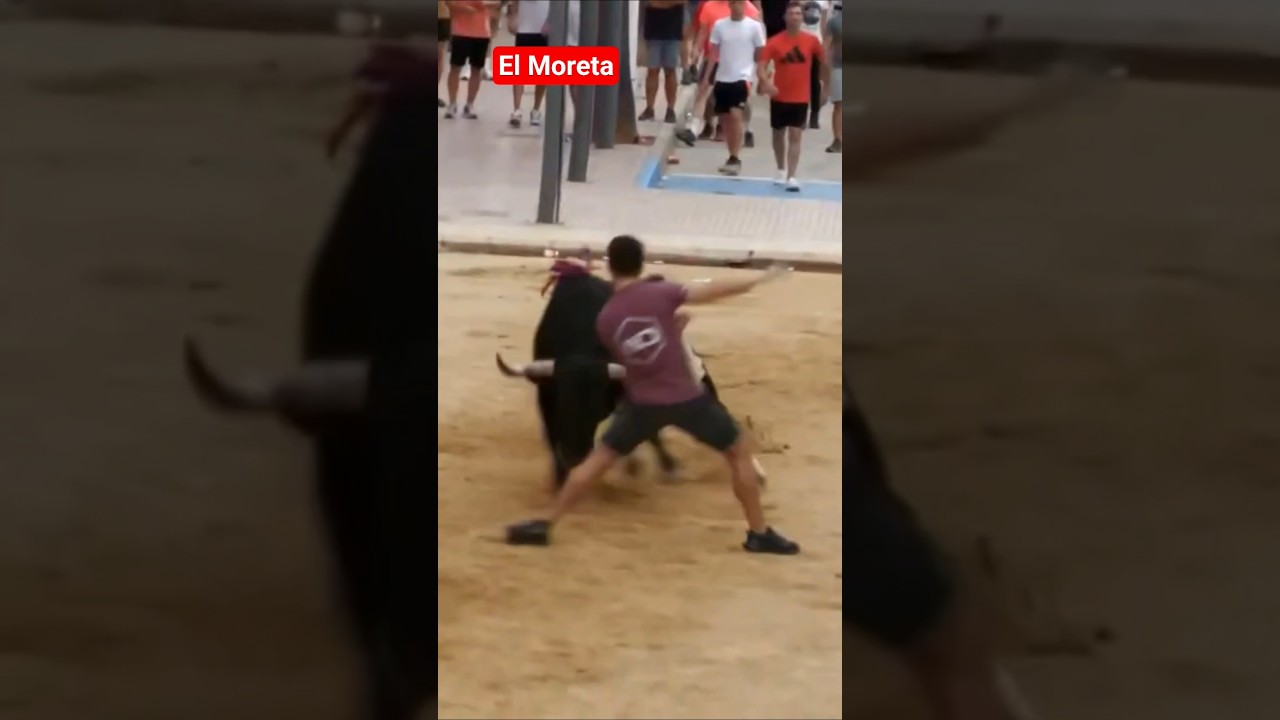 El Moreta Espectacular puzol 7 Septiembre 2025 toros tv #toros