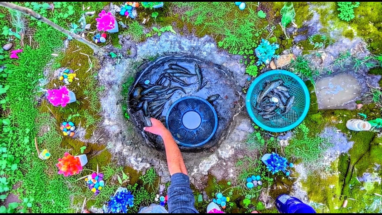 He Caught A Lot Of Fish By Casting A Net In A Small Pond 🐠 Fish Video