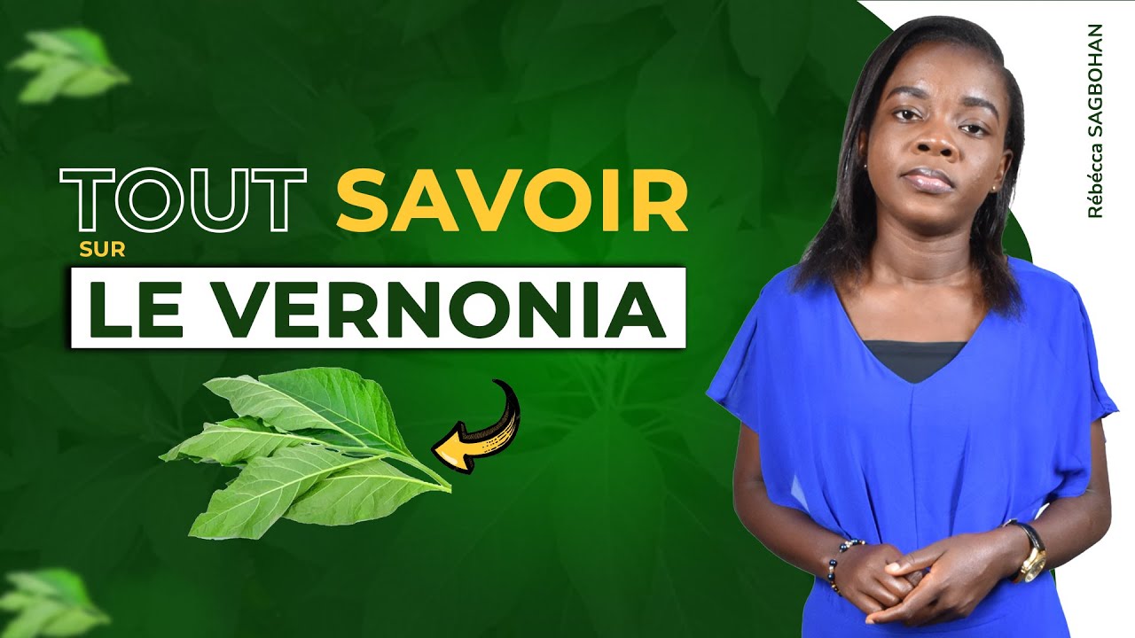 EN SAVOIR PLUS SUR LE VERNONIA