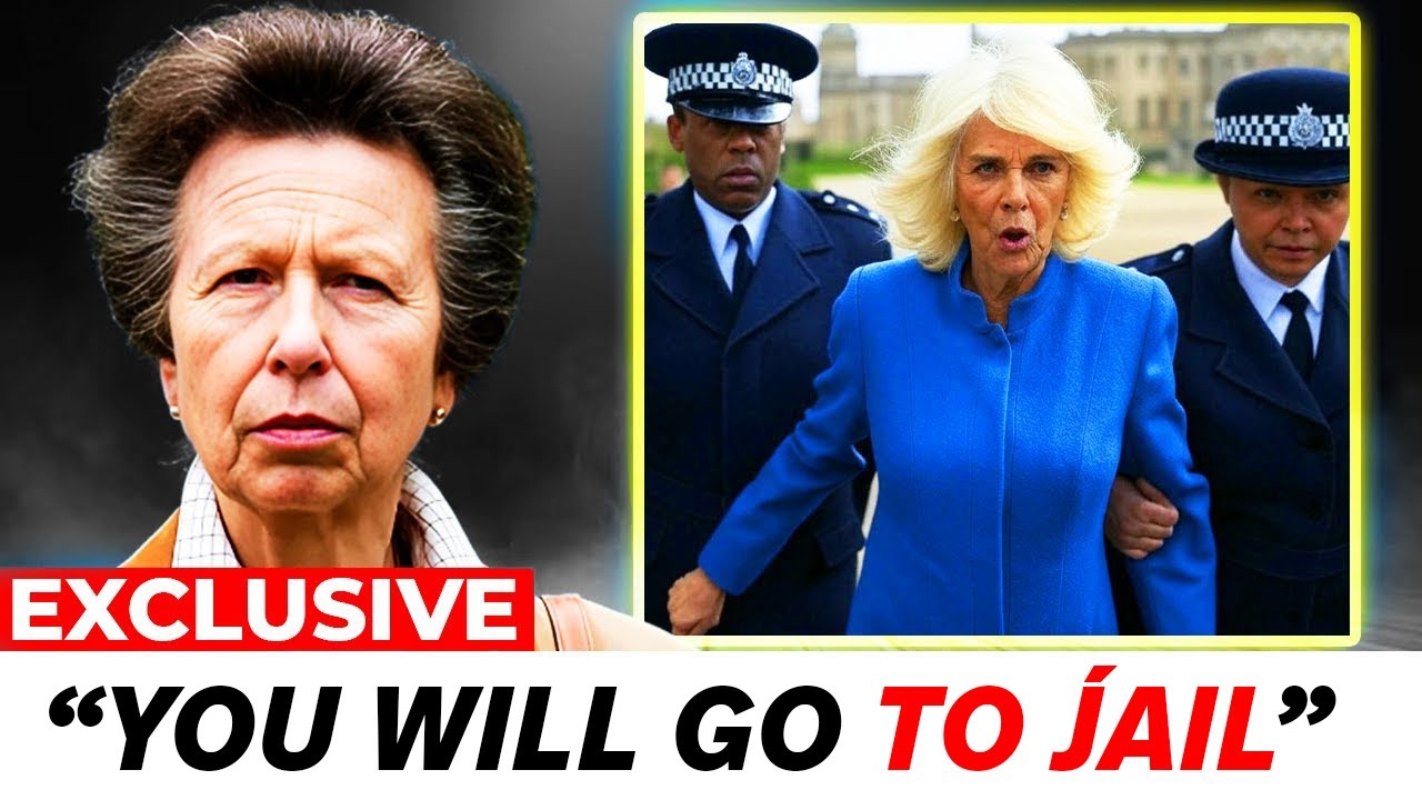 Royal Princess Anne FINALLY Takes LEGAL Action Against Camilla!
