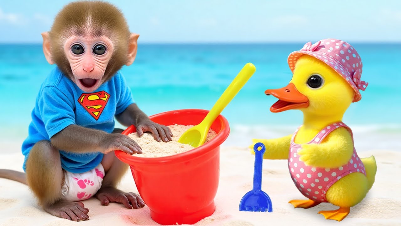 Monkey Baby Bon Bon and the journey to rescue watermelons after the flood