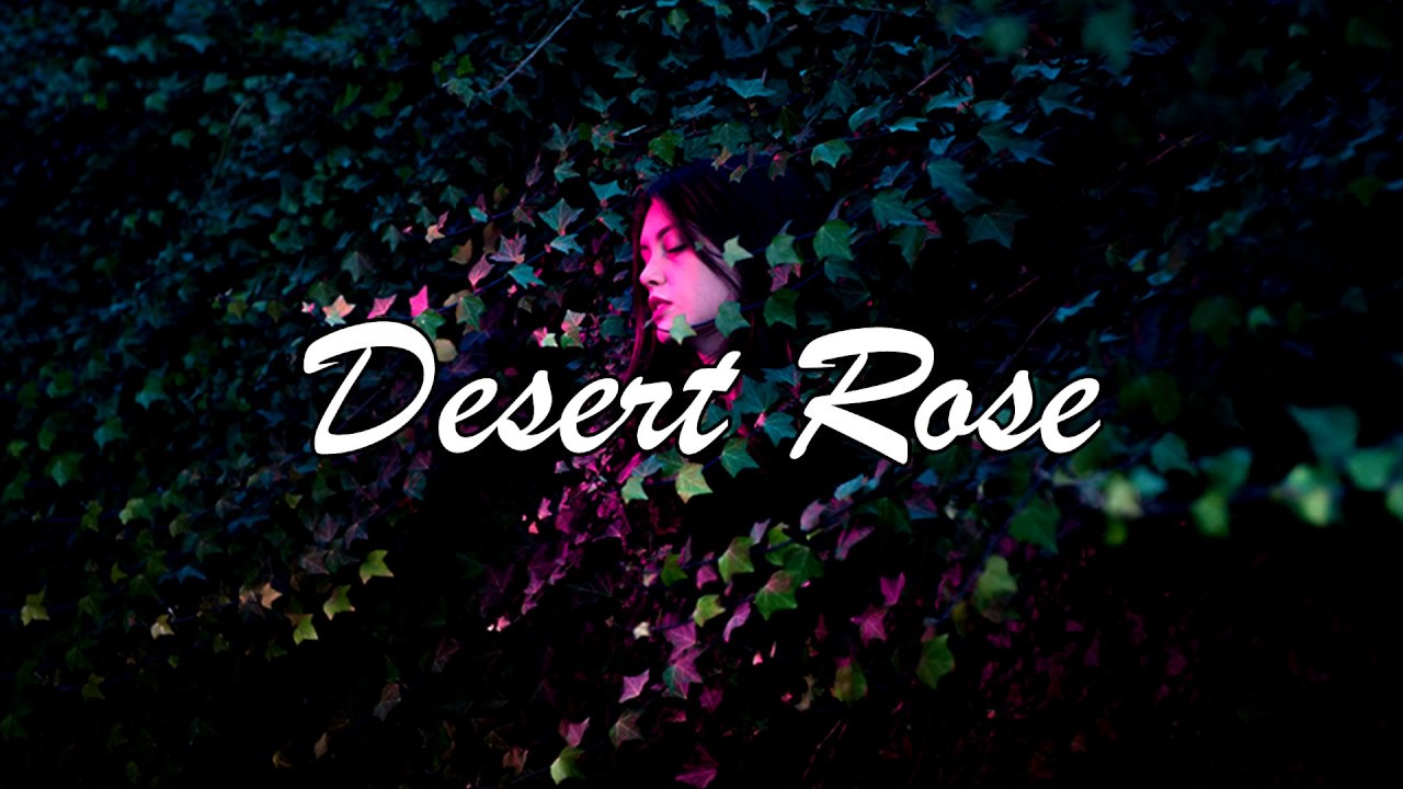 [English Lyrics] Lolo Zoua&iuml; - Desert Rose (Official Audio)
