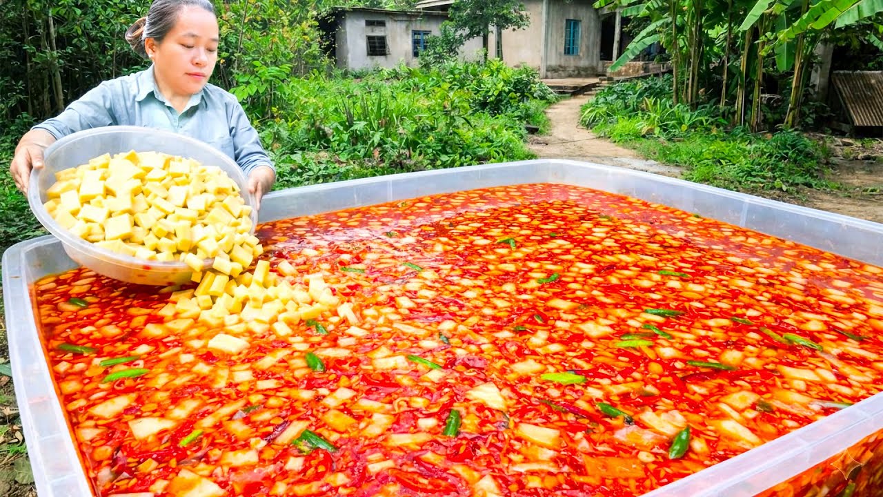 Harvesting Giant Bamboo Shoots and Making Chili Bamboo Shoots for Long-Term Preservation