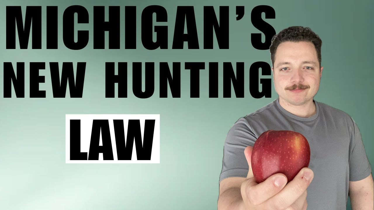 DEER HUNTING IN MICHIGAN: Understanding BAITING RULES for the 2025 deer hunting season
