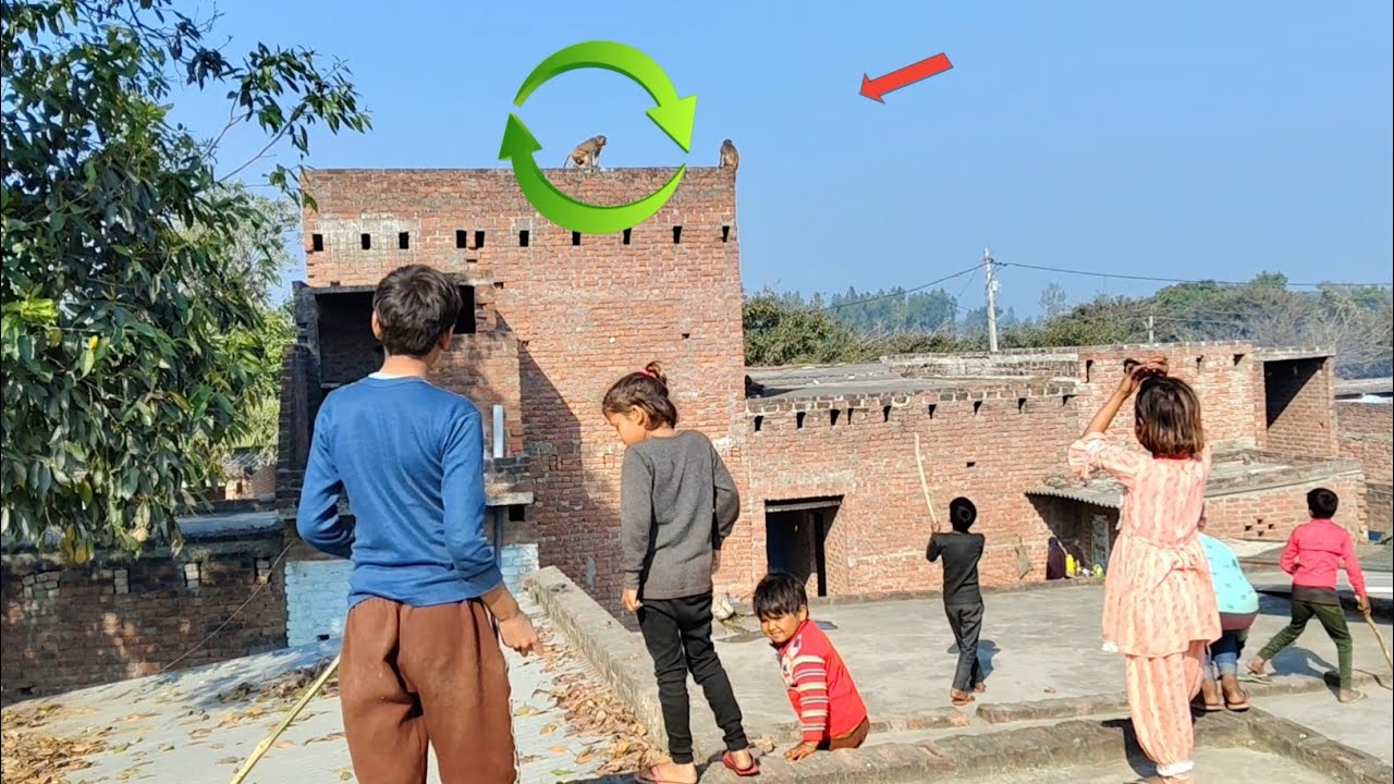 Aaj Hamare Gaon Main Junglee Bandar Aa Gaye 😱 Junglee Monkey My Village Vlog