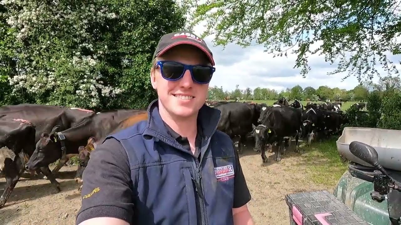 HOW WE MANAGE GRASS ON A 450 DAIRY COW GRAZING FARM!!!