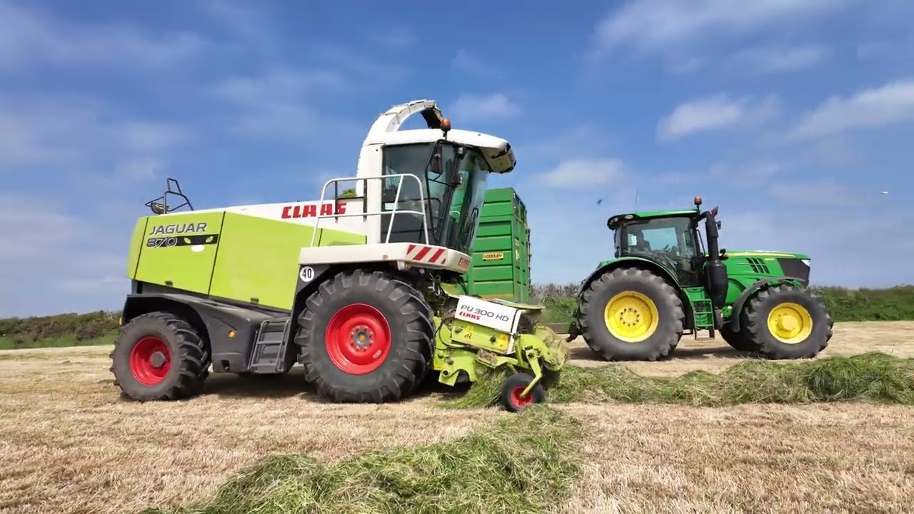 whites silage 25!