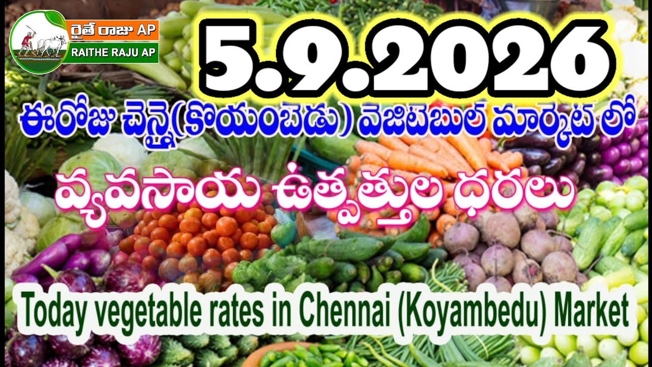 #all ఈరోజు చెన్నై కోయంబేడు మార్కెట్ లో కూరగాయల ధరలు#today vegetable rates Koyambedu market #Chennai 