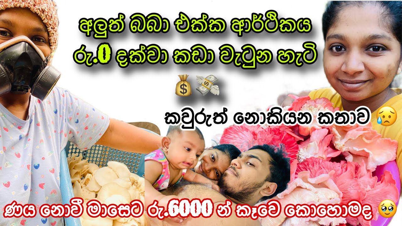 මාසේ ජීවත් වුනේ රු.6000 න් | අපි ව්‍යාපාර එක්ක 0 ට කඩන් වැටුන කතාව.😥💵💰කන්න නැති වුනත් ණය වෙන්න එපා❌