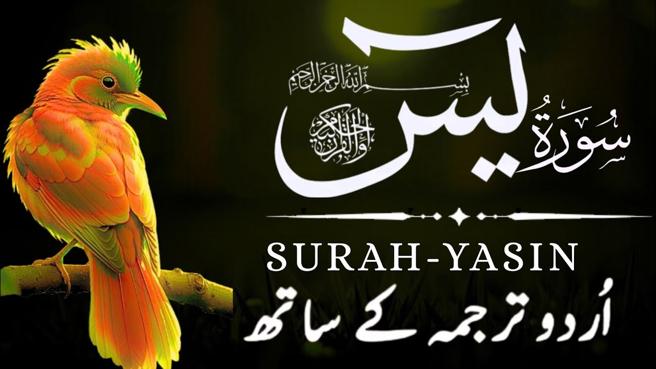 Surah Yaseen (Yasin) with Urdu Translation | Heart of the Quran | Episode 73 | Zikr e Quran Recite