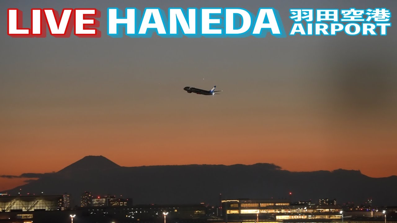 🔶📡[LIVE] '25/2/25 羽田空港 T1 Haneda International Airport  plane spotting