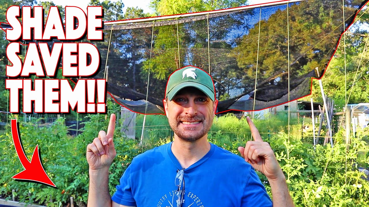 Hot Weather Gardening! Reduce Stress By Using Shade Cloth!