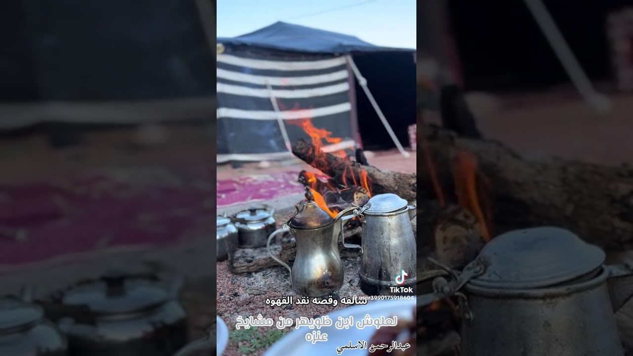 ٨ نوفمبر ٢٠٢٥