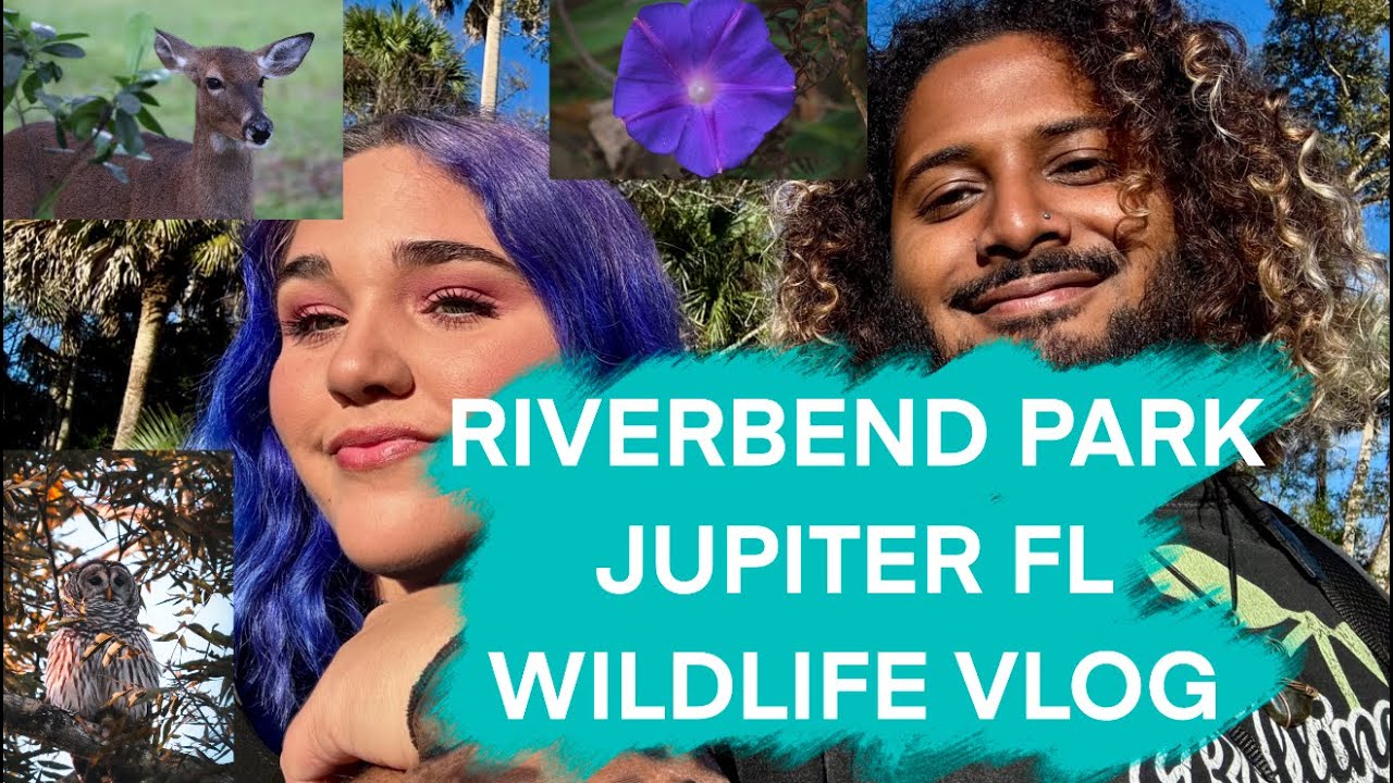 Spotting Owls at Riverbend Park | Wildlife Vlog