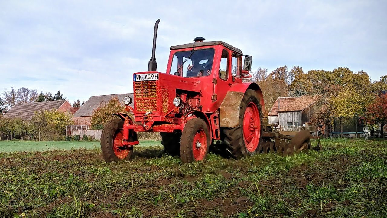 Belarus MTS 50 im Ackersenf
