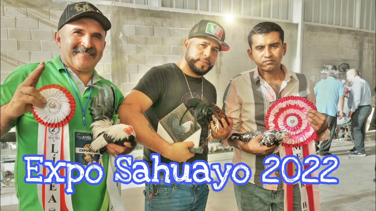 Expo Sahuayo 2022 llevaron palomas y cotorritos