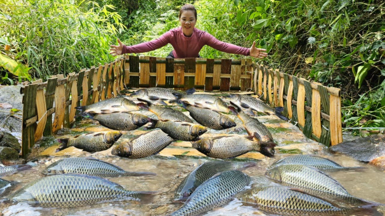 The girl used bamboo to weave a fish trap in the stream. Surprisingly effective.