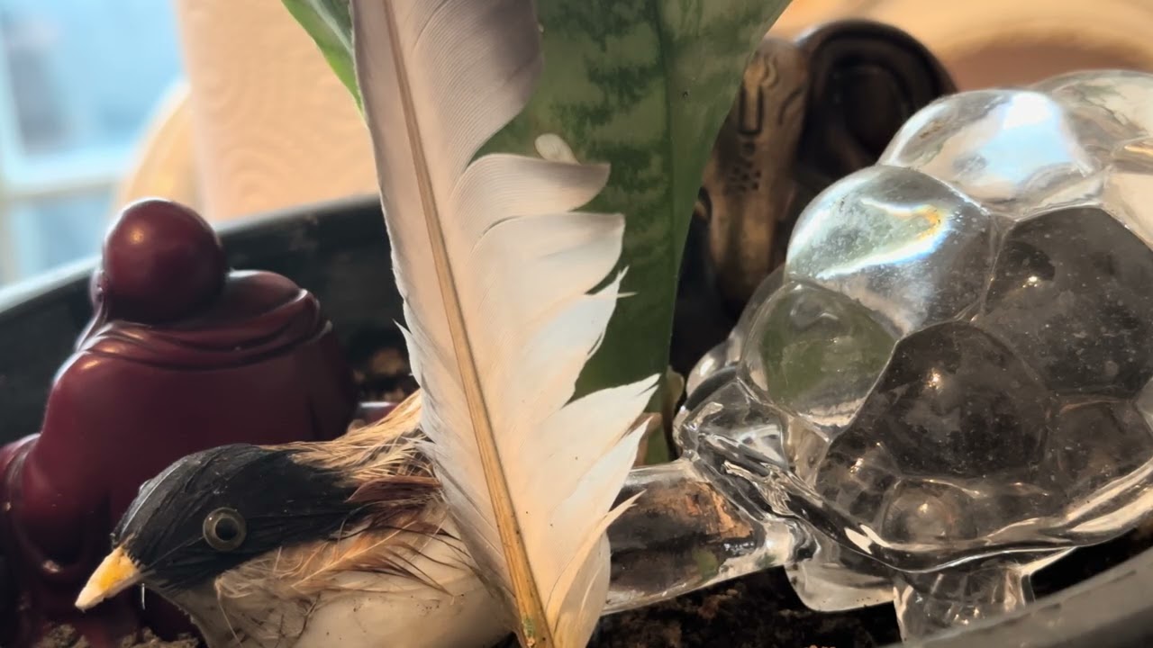 TESBİH DUASI VE FAZİLETİ 