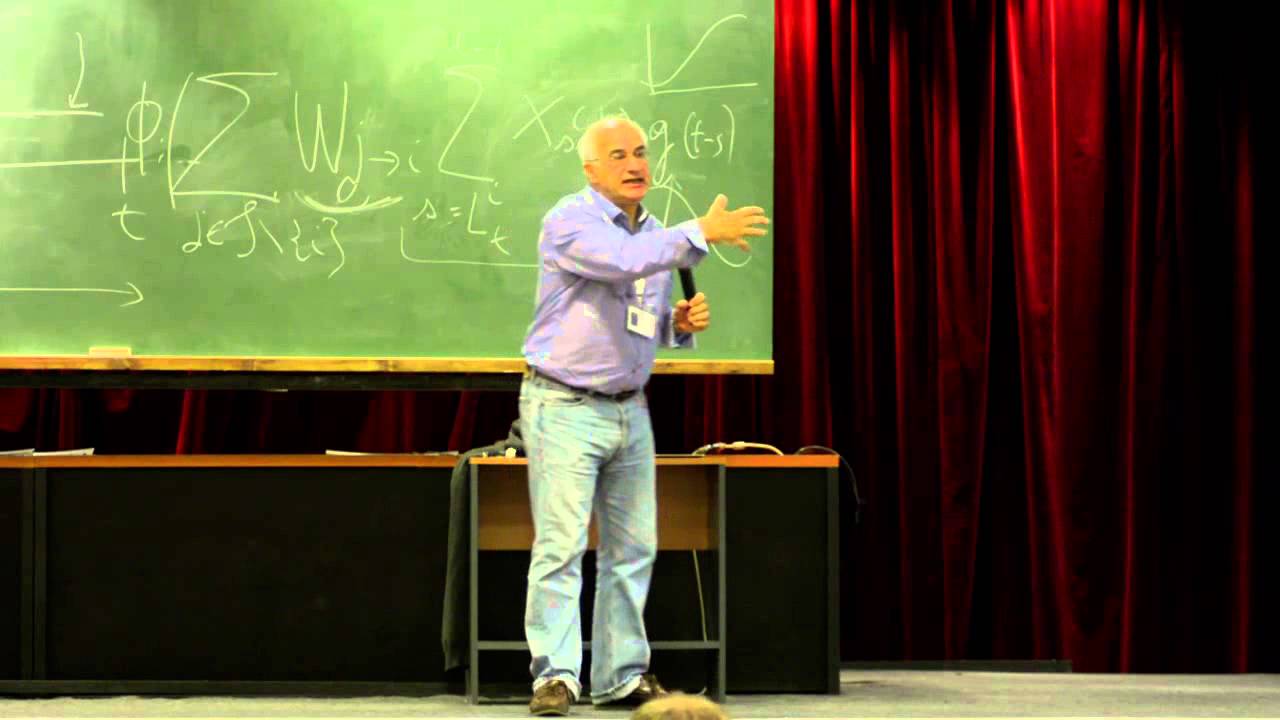 Antonio Galves - Infinite systems of interacting chains with memory of variable lengths