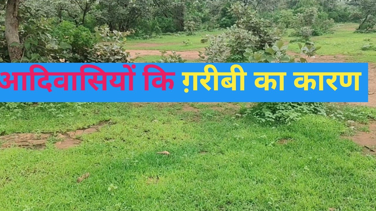 #आदिवासियों कि #मानसिकता और उनके ग़रीबी का मुख्य कारण, #देश का भ्रष्ट सिस्टम #motivation #history