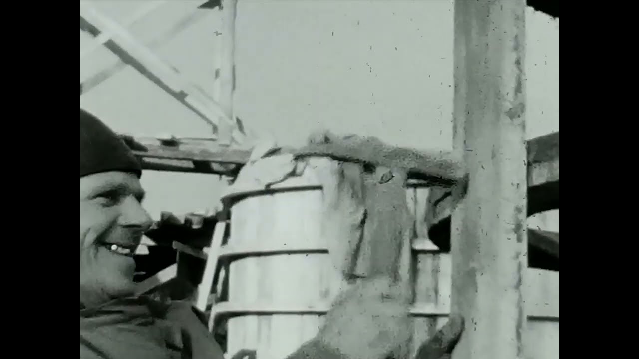 Budynek Wydziału Chemii Uniwersytetu Wrocławskiego ul. Fryderyka Joliot-Curie  (Lata 1968-1970)
