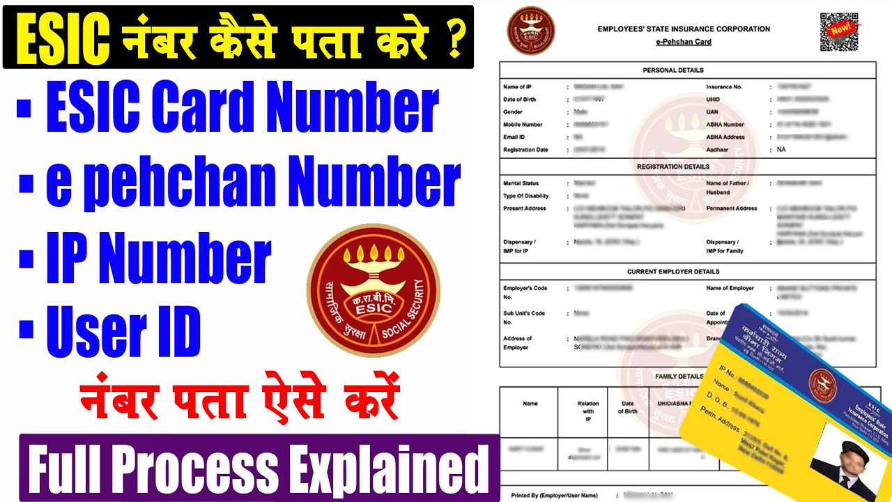 ESIC नंबर कैसे पता करे ? | Esic ip number kaise pata kare | ESIC Number, IP Number, e pehchan Number