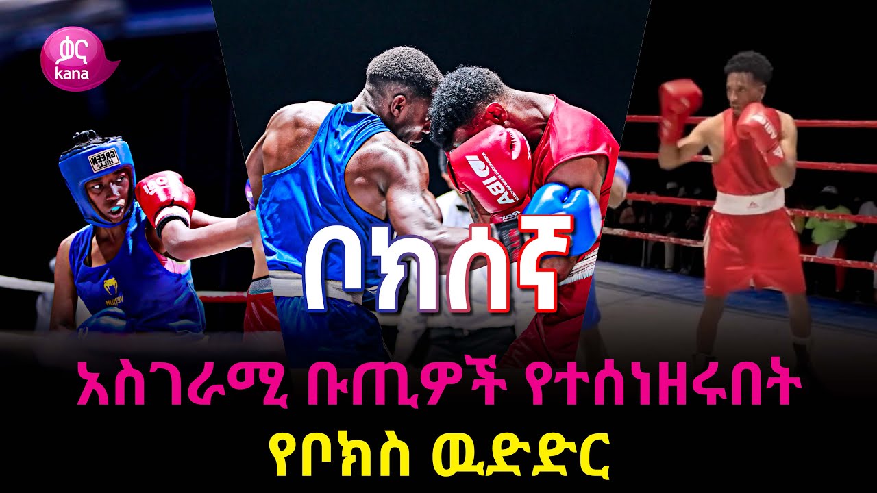 አጓጊ ፉክክር የታይበት የቦክስ ዉድደር | ቦክሰኛ