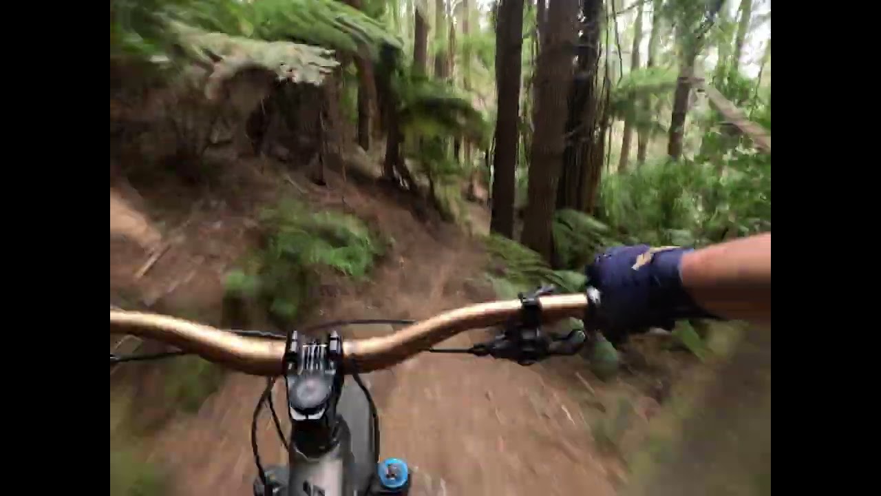 Pest Control MTB Trail G4