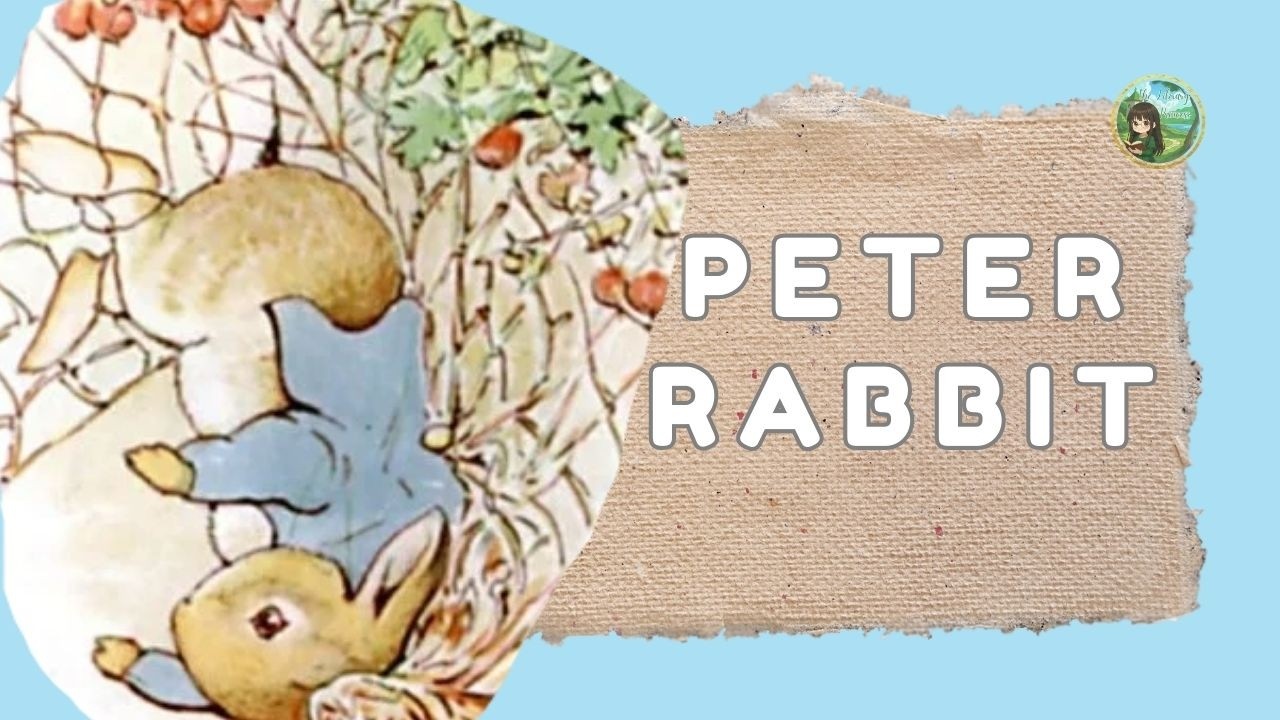 🐰The Tale of Peter Rabbit | Classic Bedtime Story Read Aloud | The Library Princess👑✨