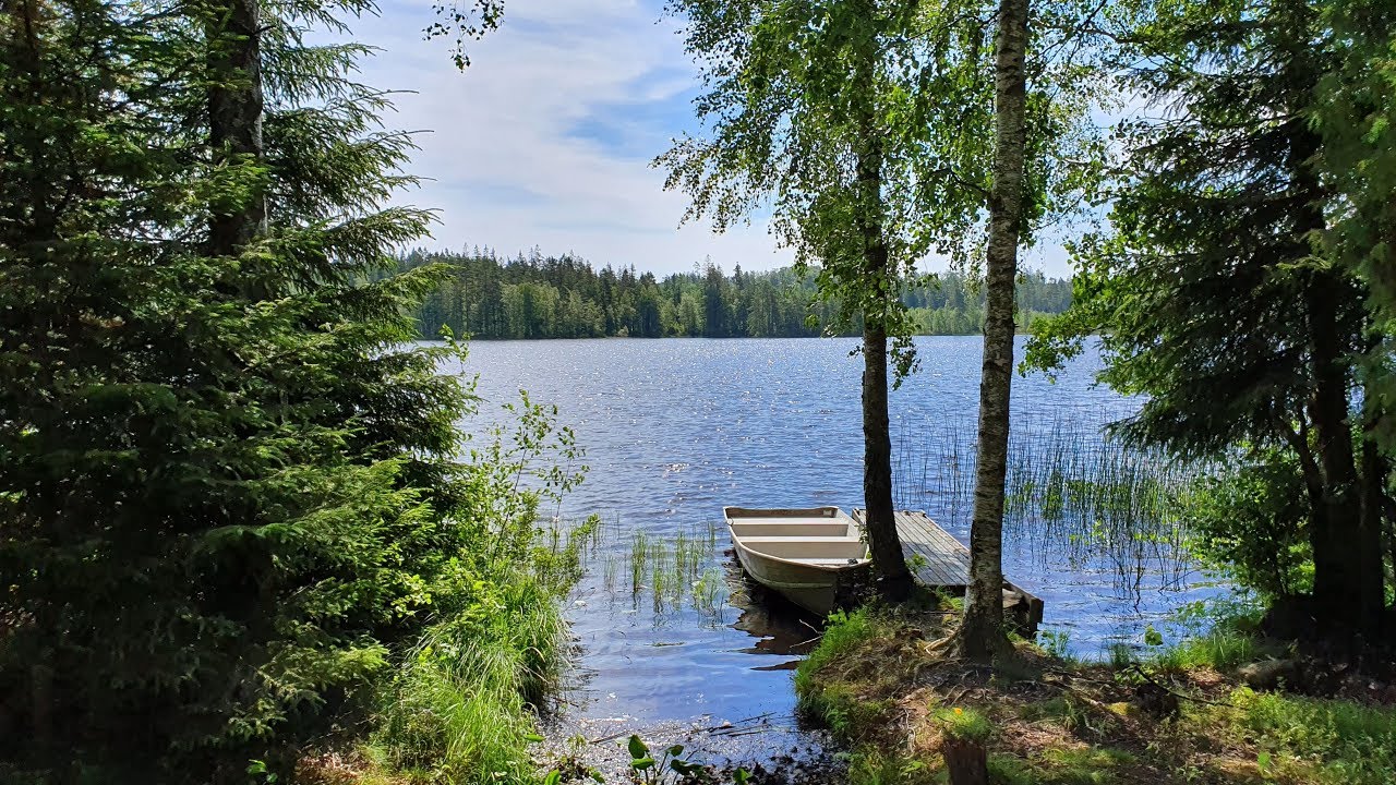 'Äskedalen', Näs v. Helge Å - ute, inne och från luften!
