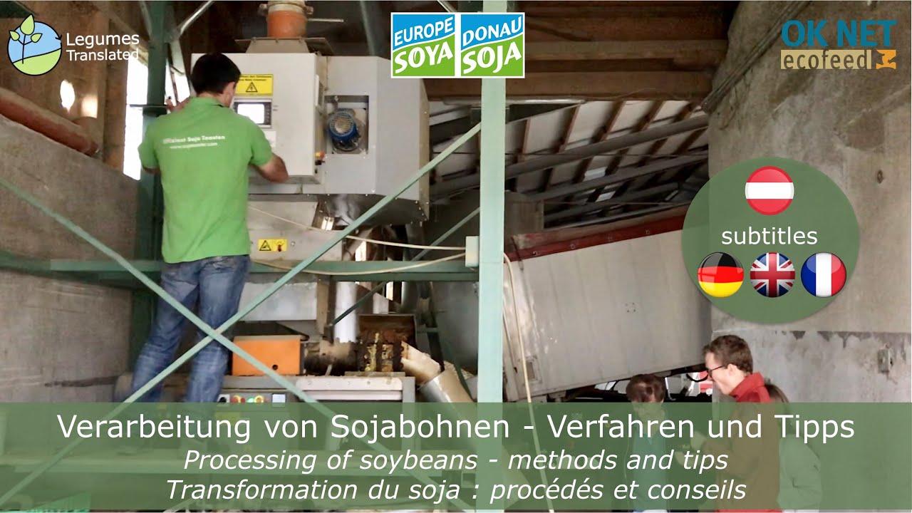 Verarbeitung von Sojabohnen - Verfahren und Tipps